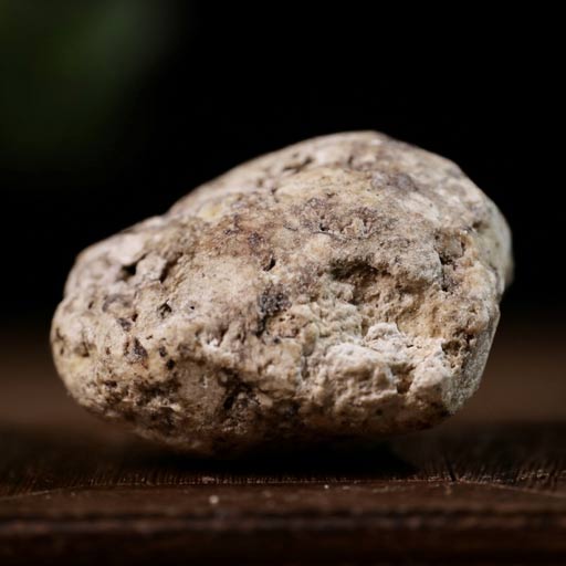 Ambergris