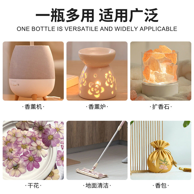 Aromatherapy Essential Oil Gift Set (6 Bottles · Indoor Purification Series)
