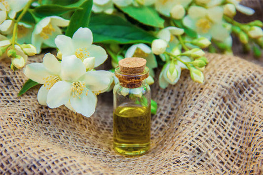 Jasmine Perfume Oil: The Alluring Charm and Versatile Applications of a Classic Floral Scent