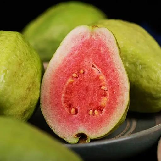 Guava