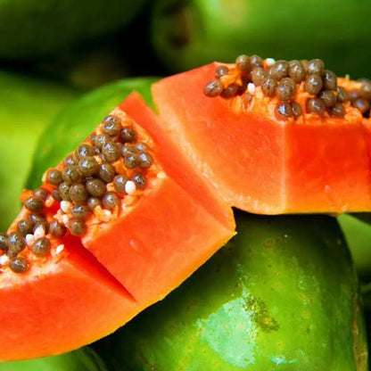 Papaya