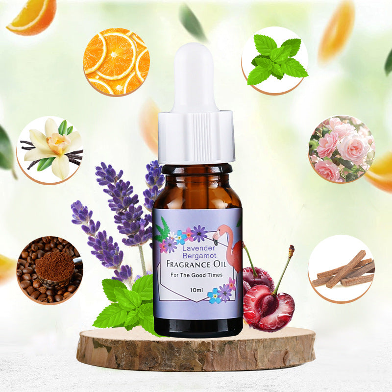 Aromatherapy Essential Oil Gift Set (6 Bottles · Indoor Purification Series)