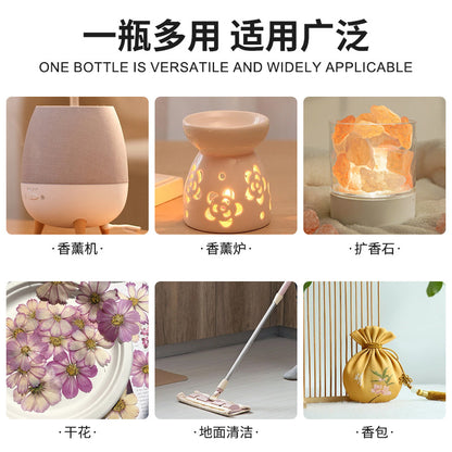 Aromatherapy Essential Oil Gift Set (6 Bottles · Indoor Purification Series)