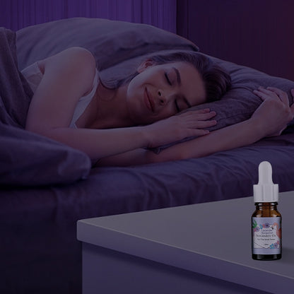 Aromatherapy Essential Oil Gift Set (6 Bottles · Indoor Purification Series)